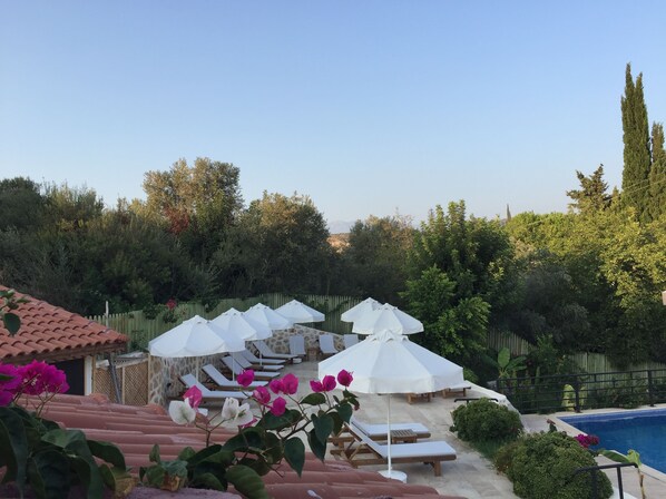 Un área junto a la piscina con sillones y sombrillas, rodeada de vegetación y un cielo despejado.