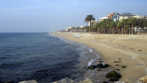 A beach with a sandy shore, palm trees, and buildings in the background. - Hotel Vila de Premià (Premia de Mar)