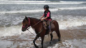 Beach nearby, white sand, surfing, kayaking