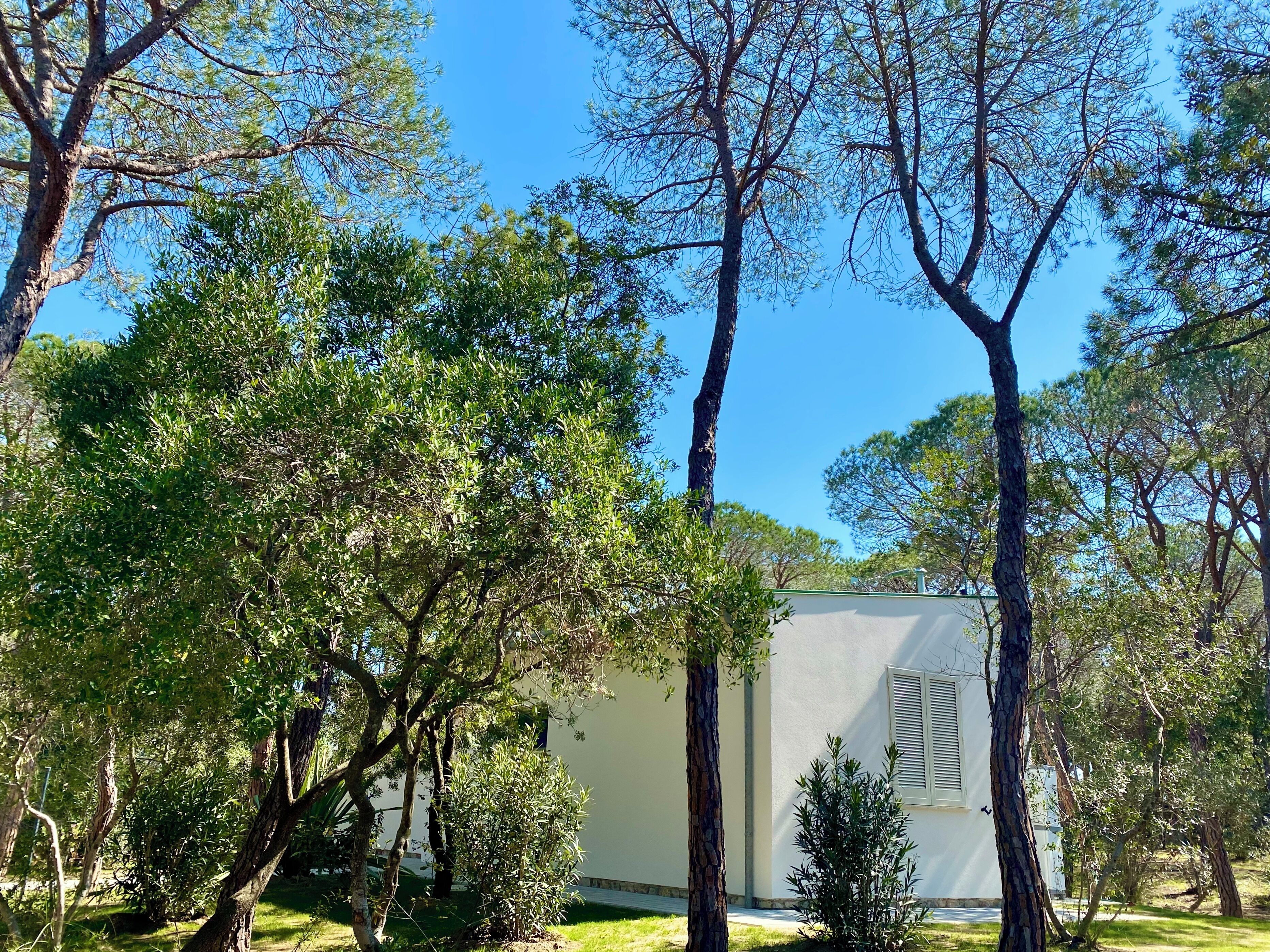 Deluxe villa | Exterieur