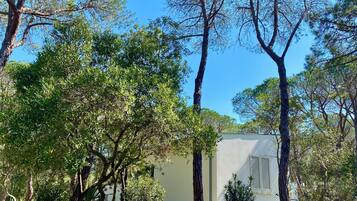 Deluxe villa | Exterieur