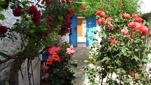 A narrow stone pathway flanked by lush rose bushes and a blue door leading to a white building. - Amazon Antique (Selçuk)