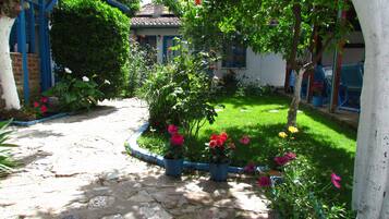 A garden pathway leading to a house with a blue door and a brick wall.