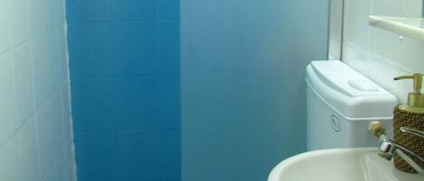 Une salle de bain avec des toilettes blanches, un lavabo et une douche dont le sol est recouvert de carreaux bleus.
