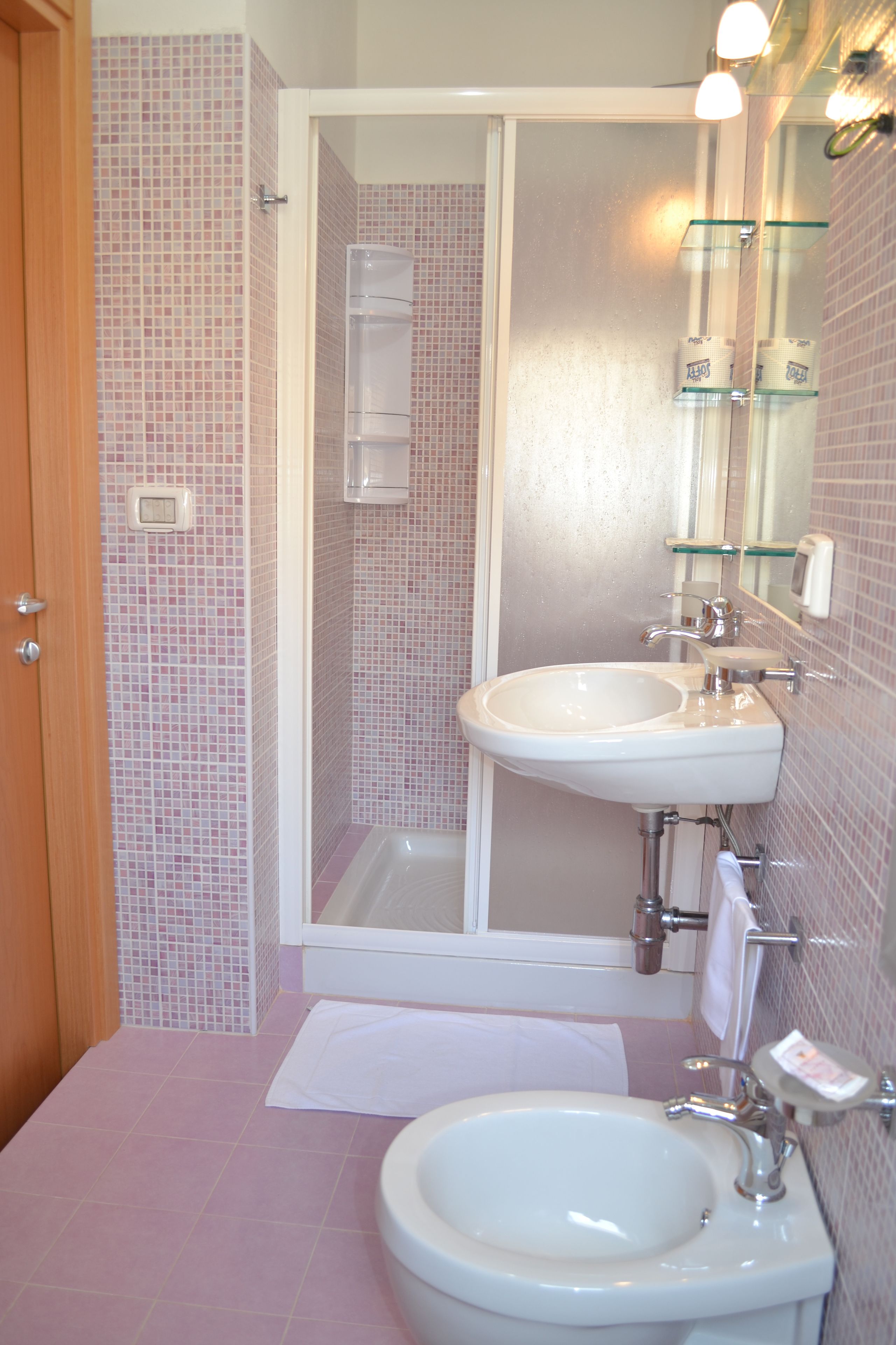 shower, free toiletries, hair dryer, bidet