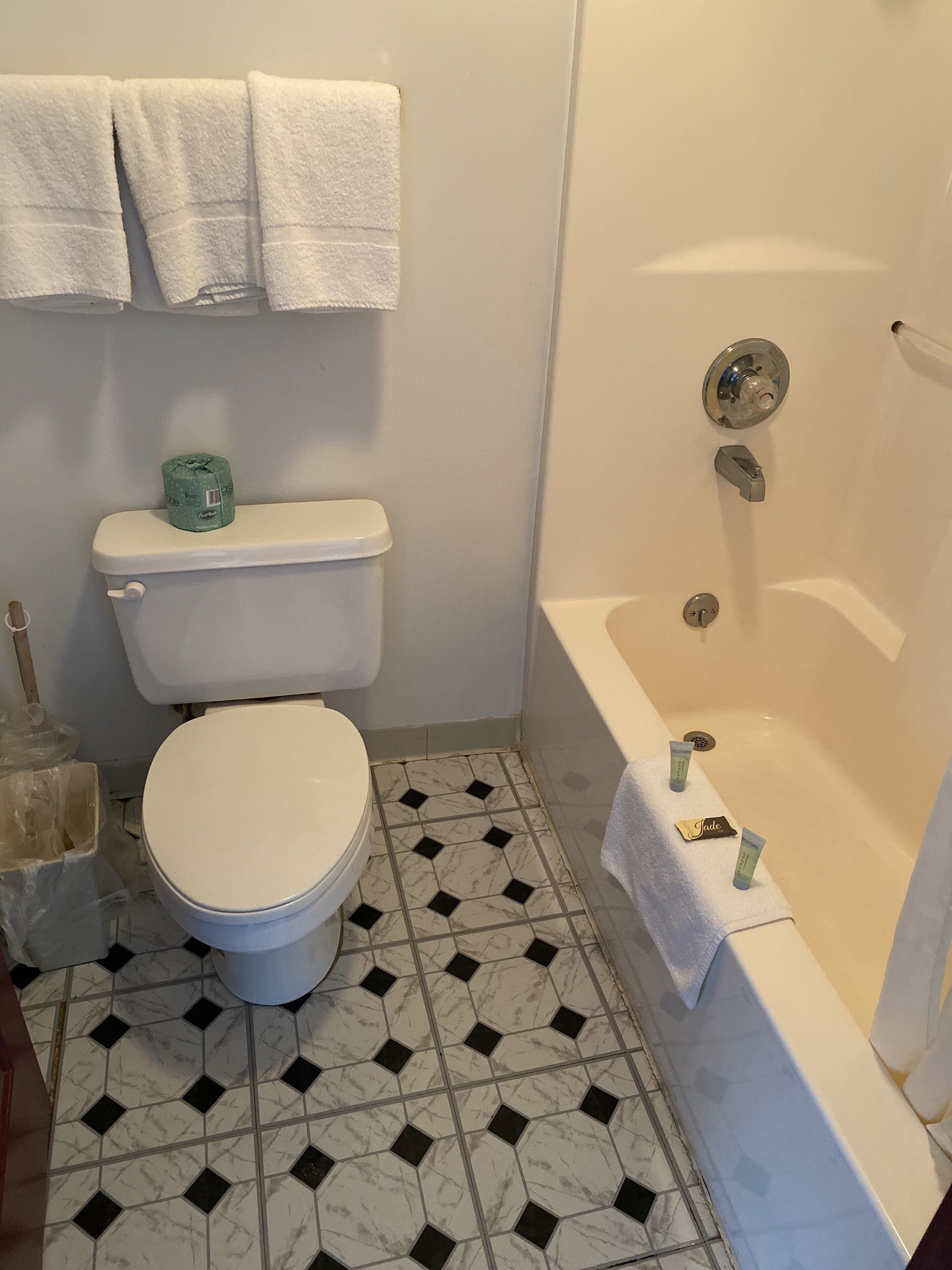 Combined shower/tub, free toiletries, hair dryer, towels