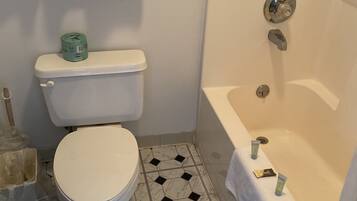 Combined shower/tub, free toiletries, hair dryer, towels