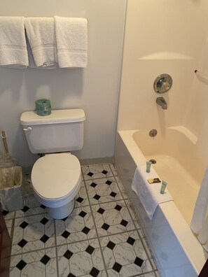 Combined shower/tub, free toiletries, hair dryer, towels - Royal Inn (Albany)