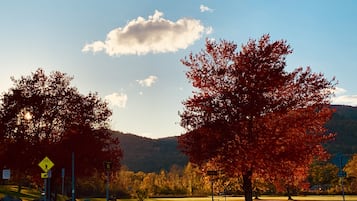 Televisión 32 pulgadas con canales de televisión por cable
