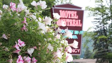 A motel sign with the name "Motel Montreal" and a flower bush in the foreground.