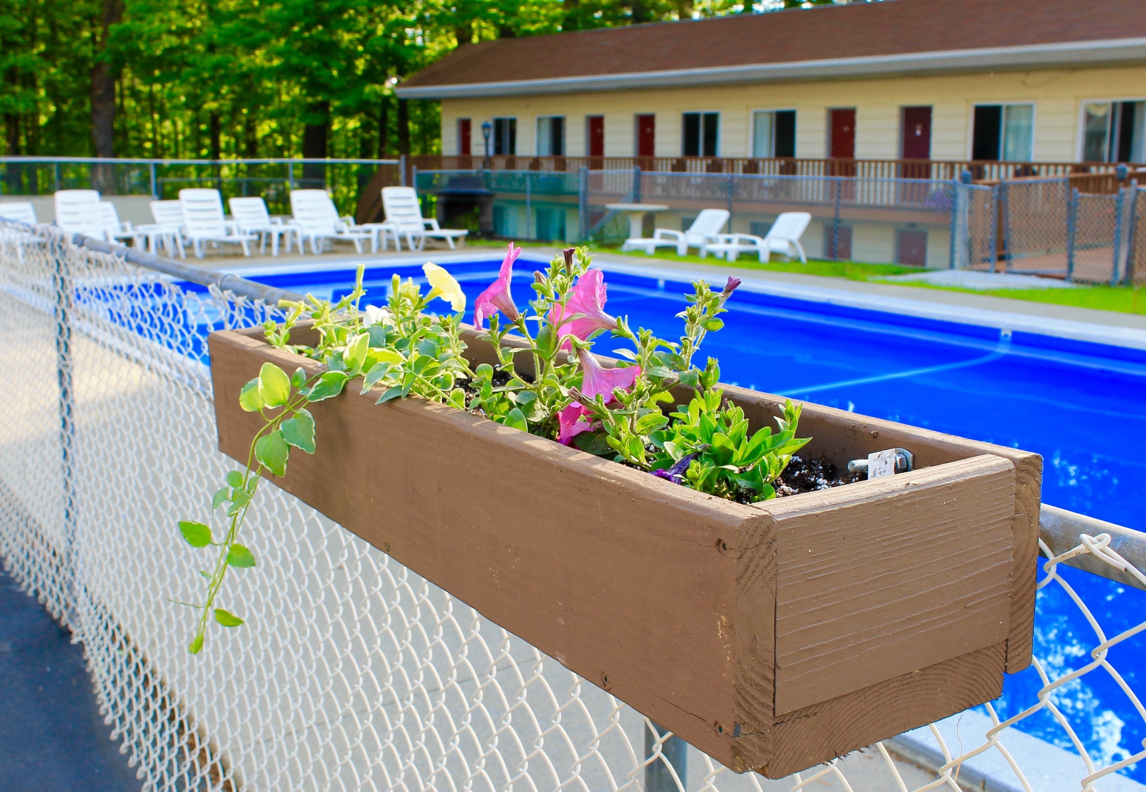 A pool area with a wooden planter box filled with plants and flowers, surrounded by a chain-link fence.