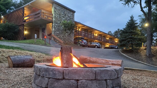 BBQ/picnic area - The Mountaineer Inn (Asheville)