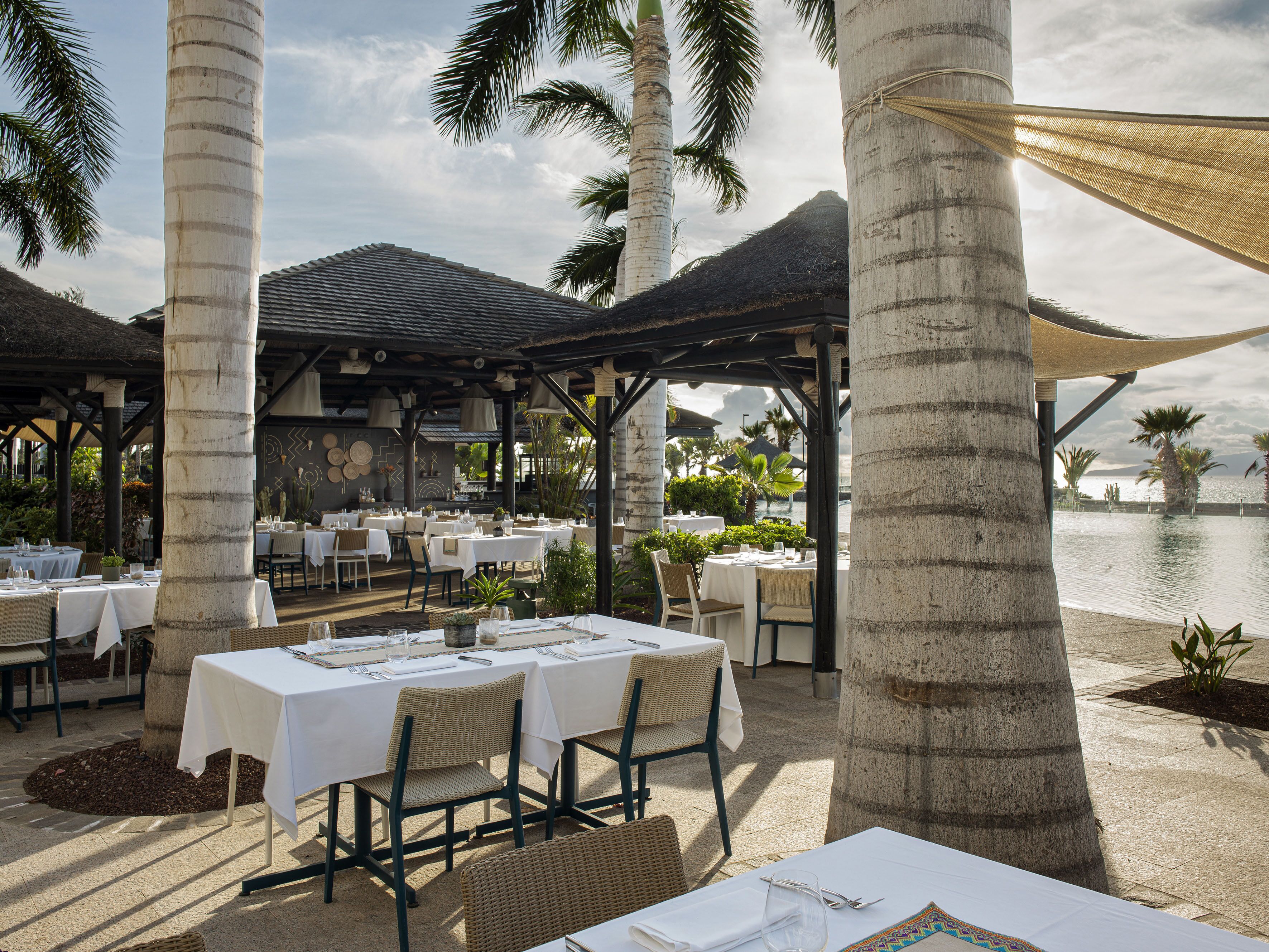 Un espace de restauration en plein air, avec des tables et des chaises, entouré de palmiers et offrant une vue sur l’eau.