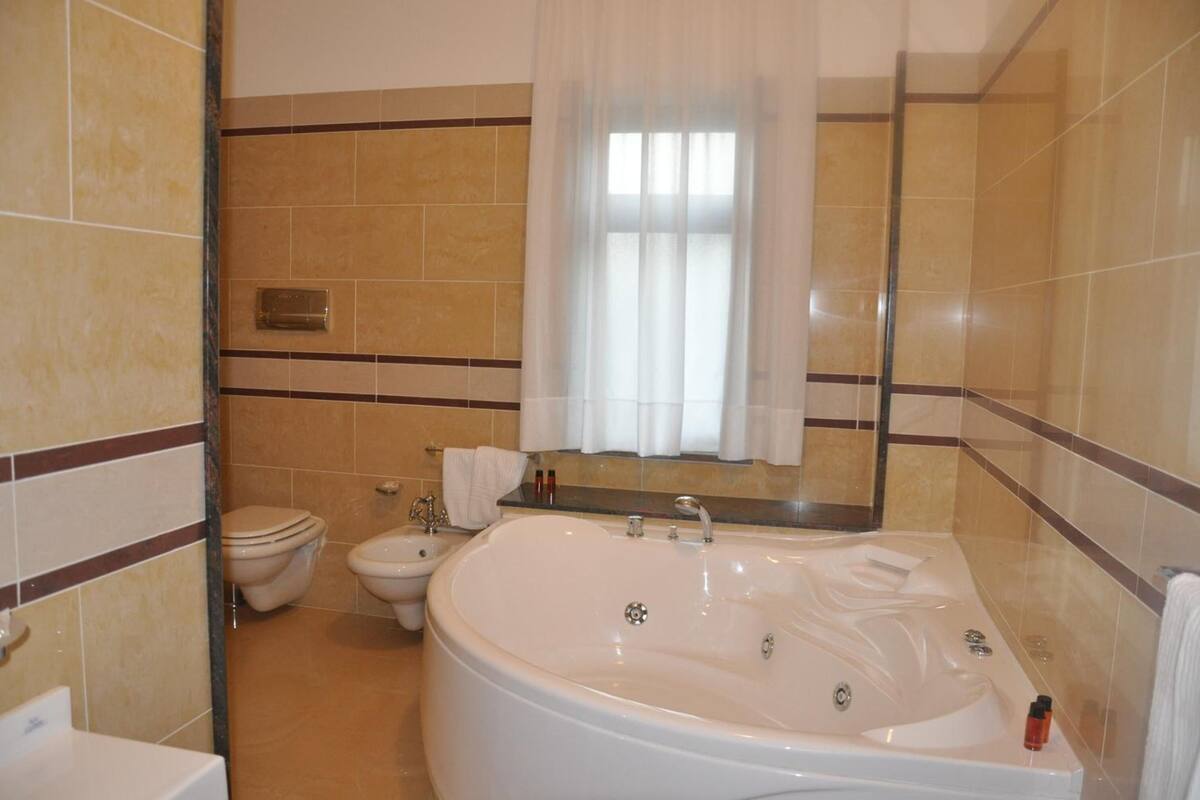 shower, designer toiletries, hair dryer, slippers