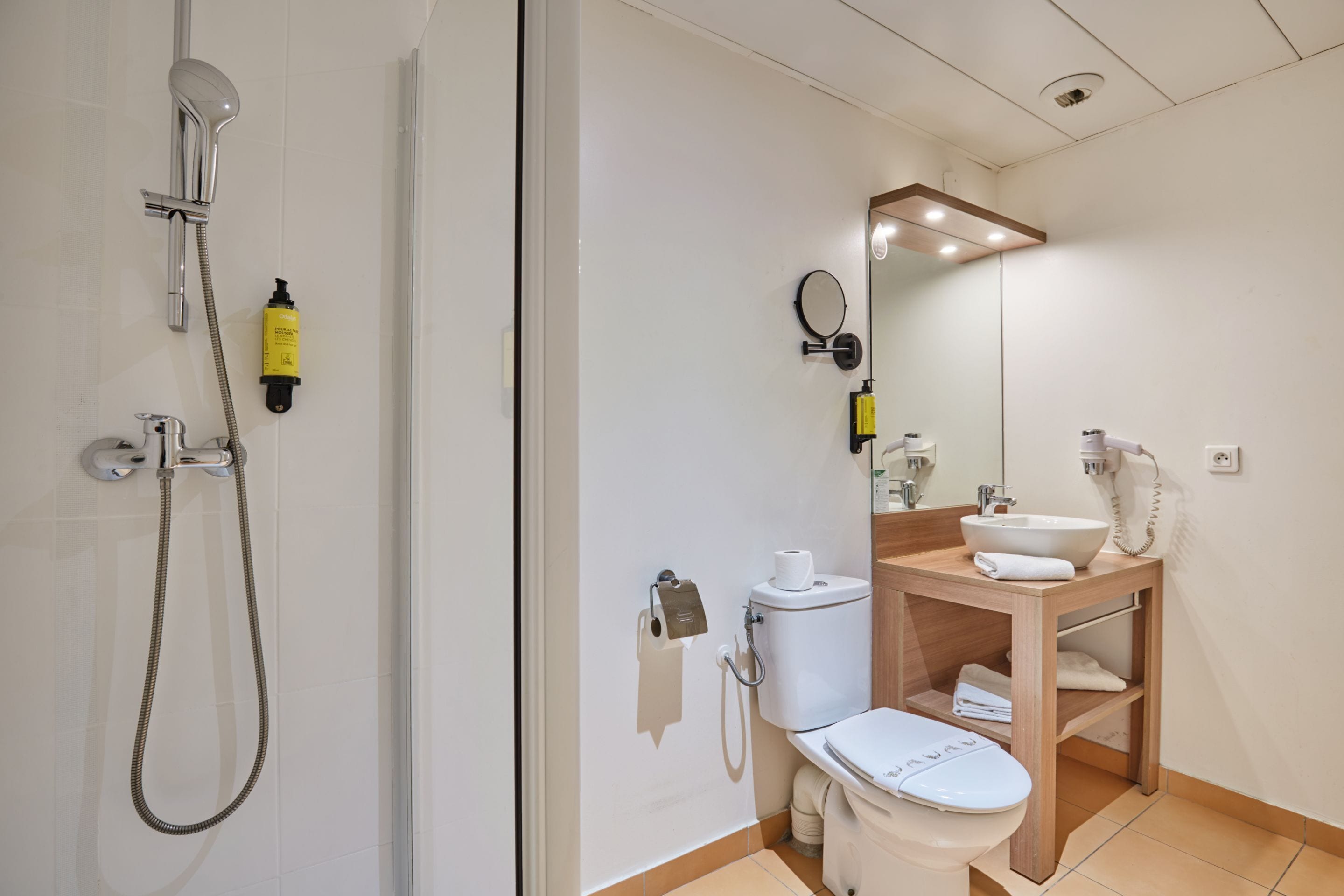 A modern bathroom with a shower, toilet, sink, and mirror.