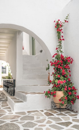 Cortile. Nastasia Village Boutique Hotel