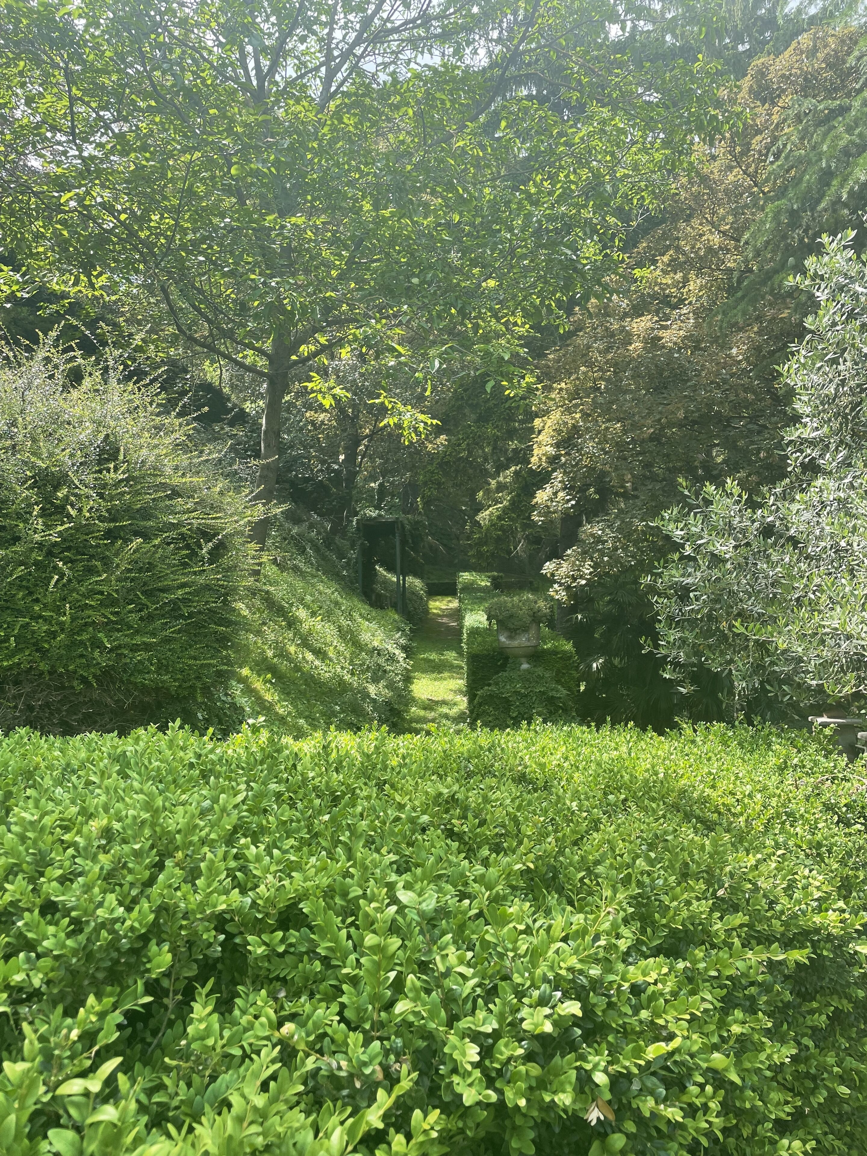 Een weelderige tuin met verschillende groene struiken en bomen, een pad van stenen en een kleine brug.