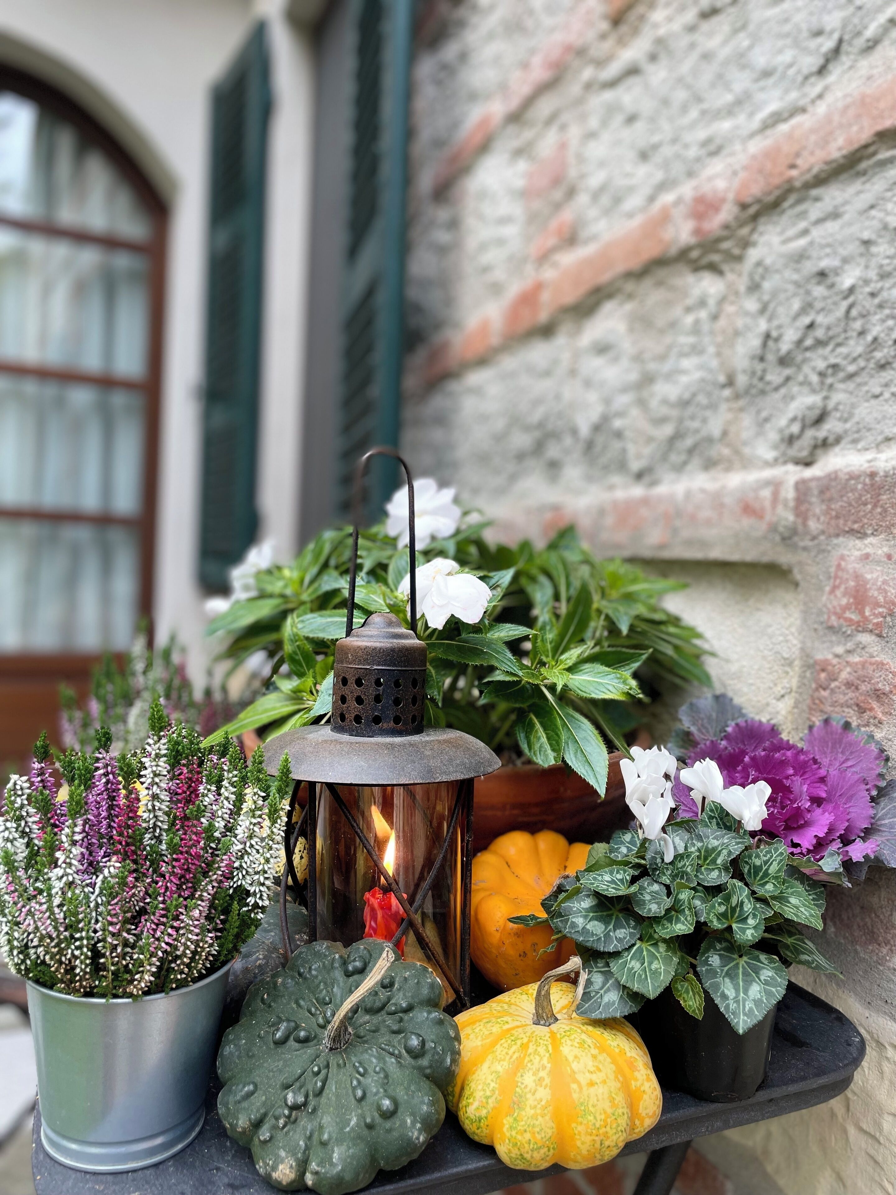 A metal lantern with a candle inside, surrounded by various potted plants and gourds on a black tray.