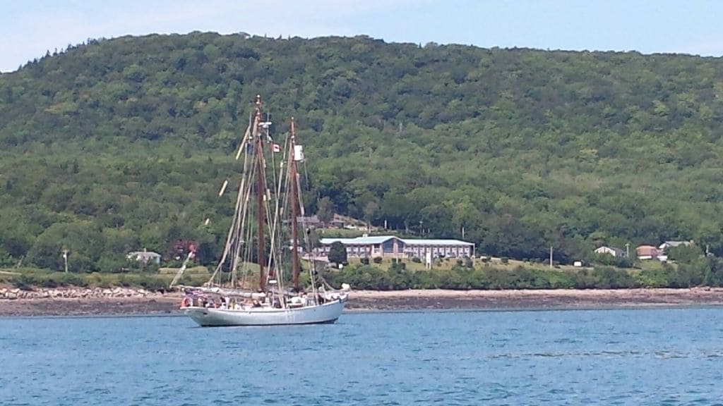 Un velero sobre aguas tranquilas con una colina boscosa al fondo.