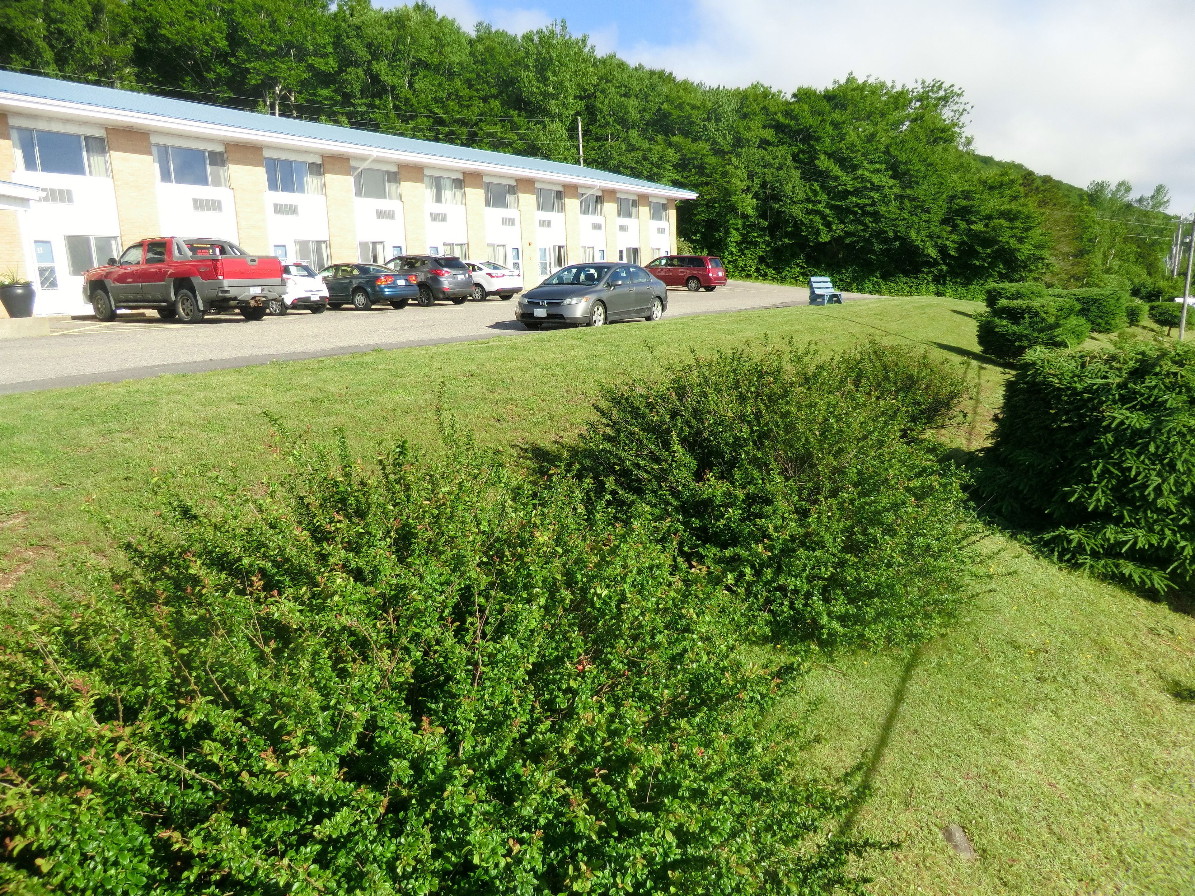 Un motel con varias plazas de estacionamiento y un área verde con arbustos.