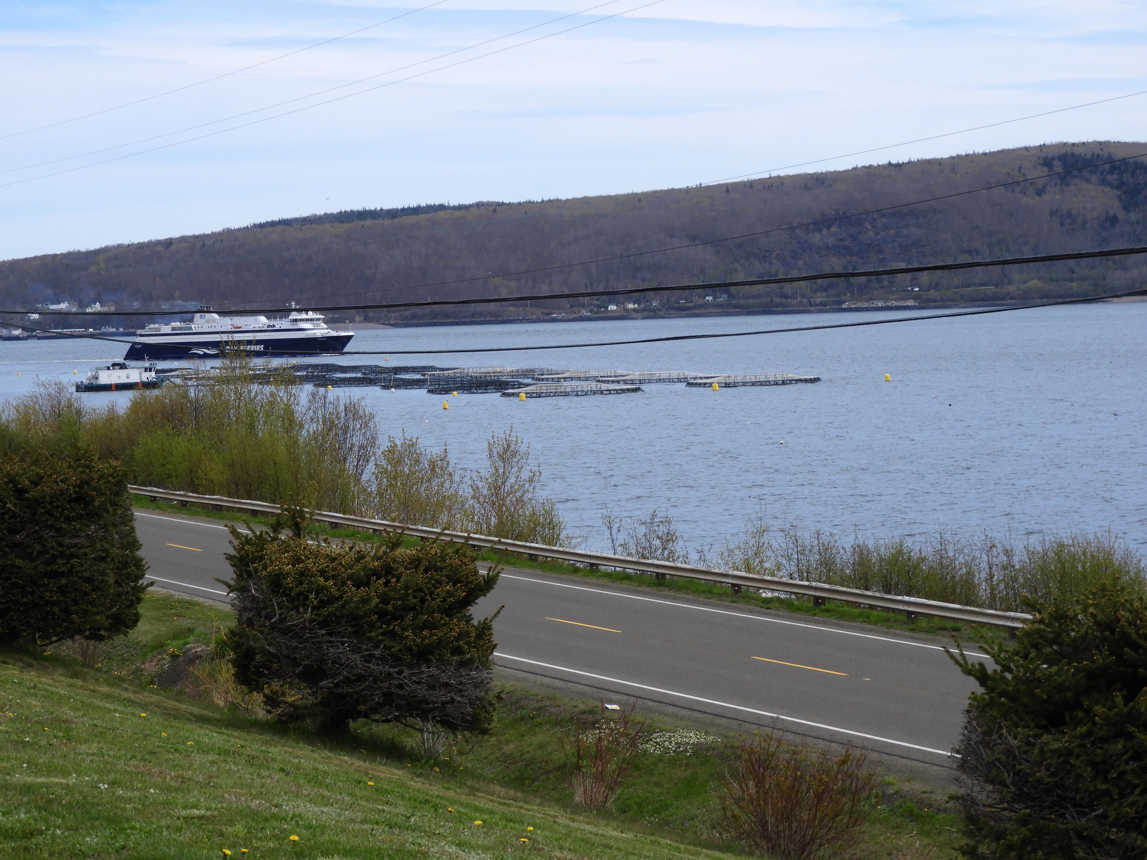 A coastal road with a ferry dock and a large ship.