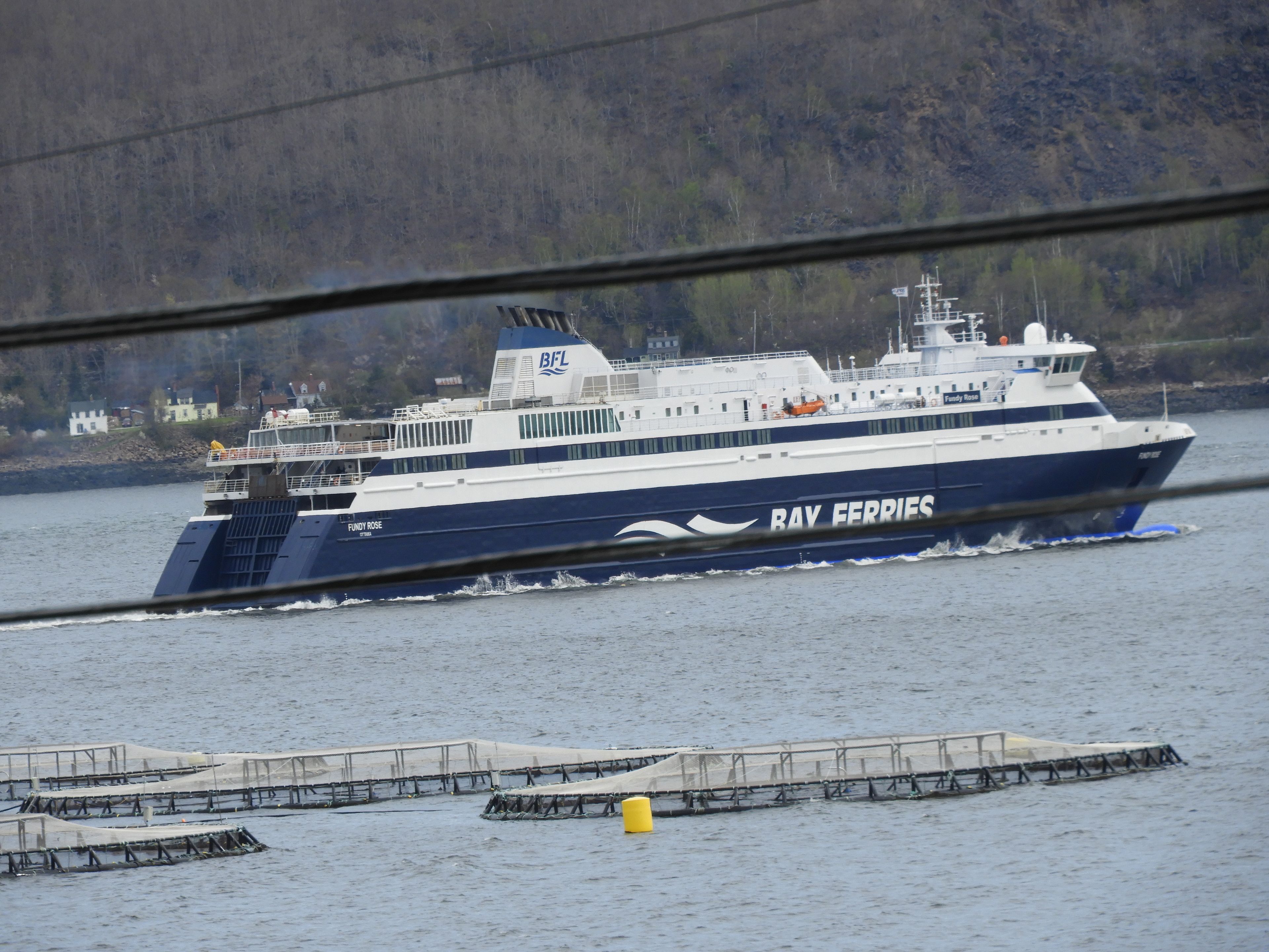 Un traversier portant l’inscription « BAY FERRIES » sur son flanc était amarré à un quai.
