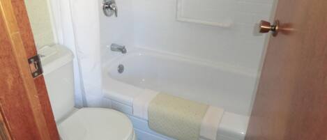 A bathroom with a toilet, a bathtub, and a shower.