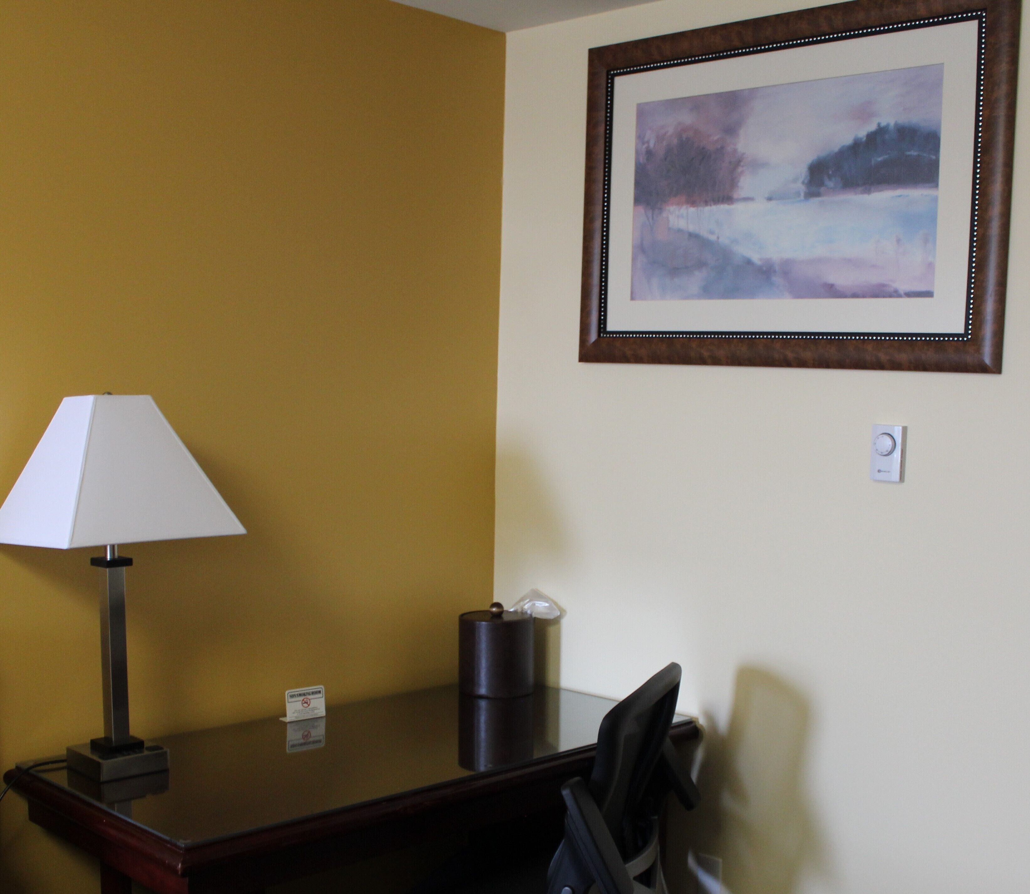 Una habitación de hotel con escritorio, lámpara, un cuadro enmarcado y perchero.