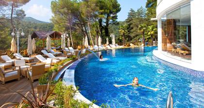 Limak Thermal Boutique Hotel - Boutique Class