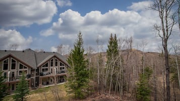 Traditional Condo, 1 Bedroom, Kitchen | View from room