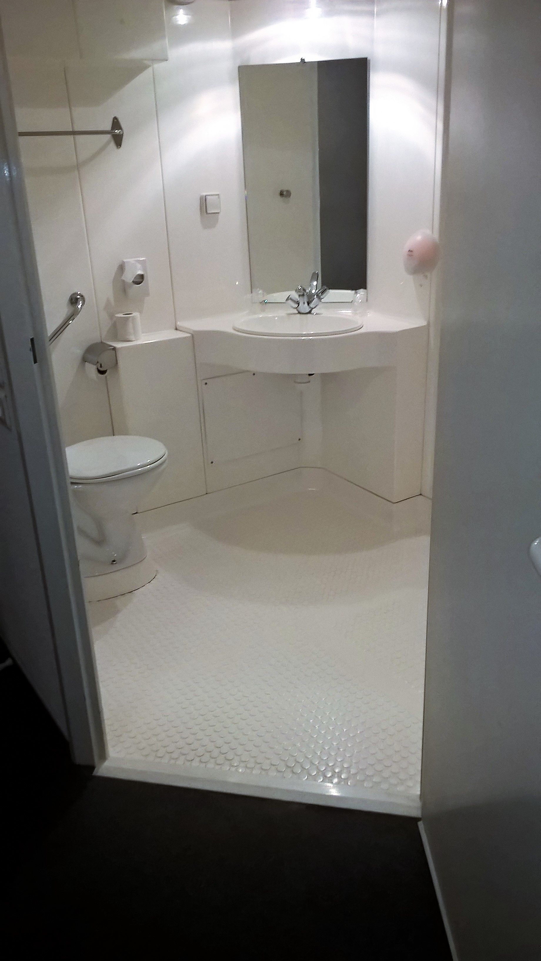 standard double room, accessible | bathroom | shower, bidet, towels