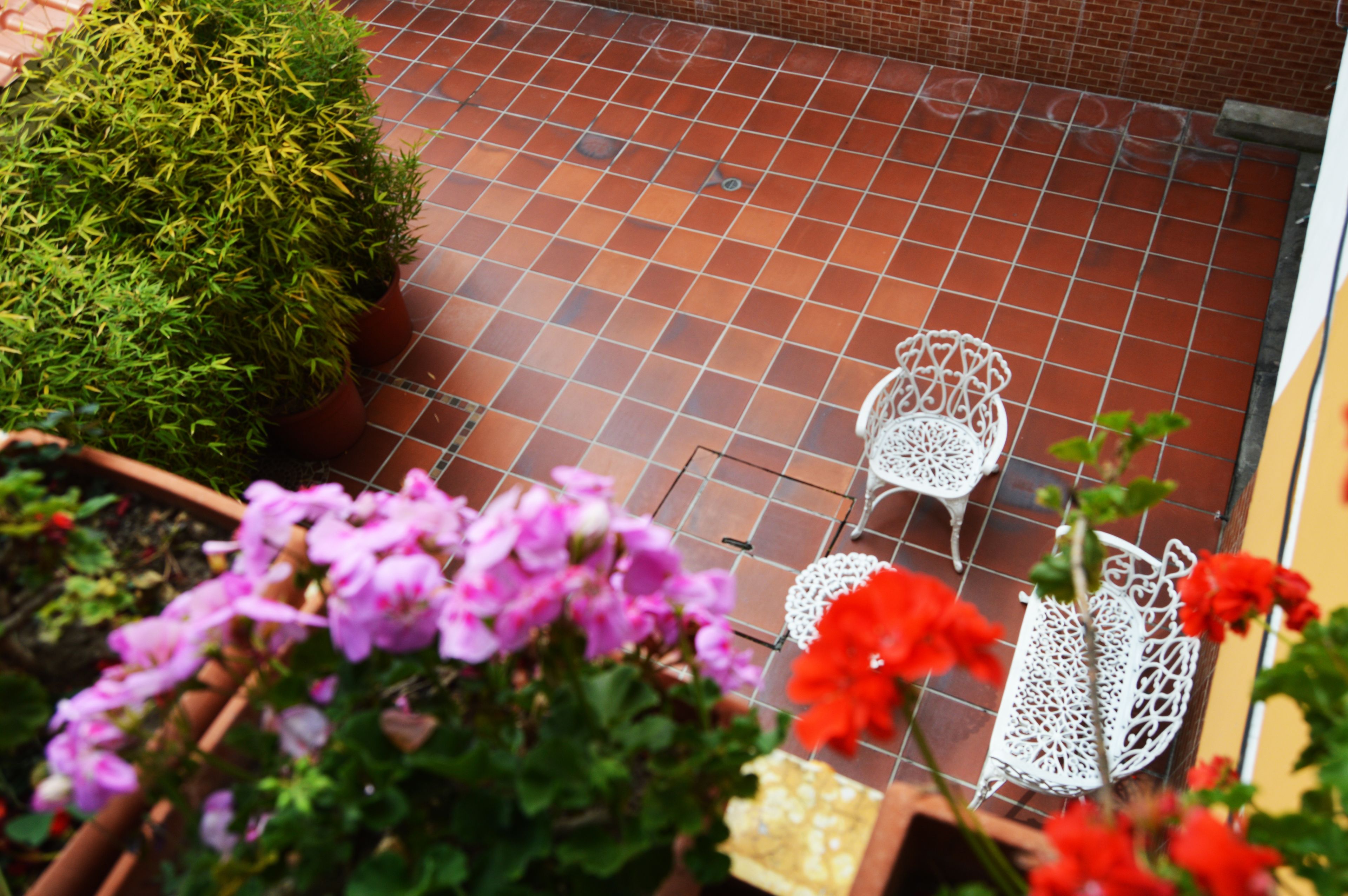 A patio with terracotta tiles, white metal chairs, and potted plants with pink and red flowers.