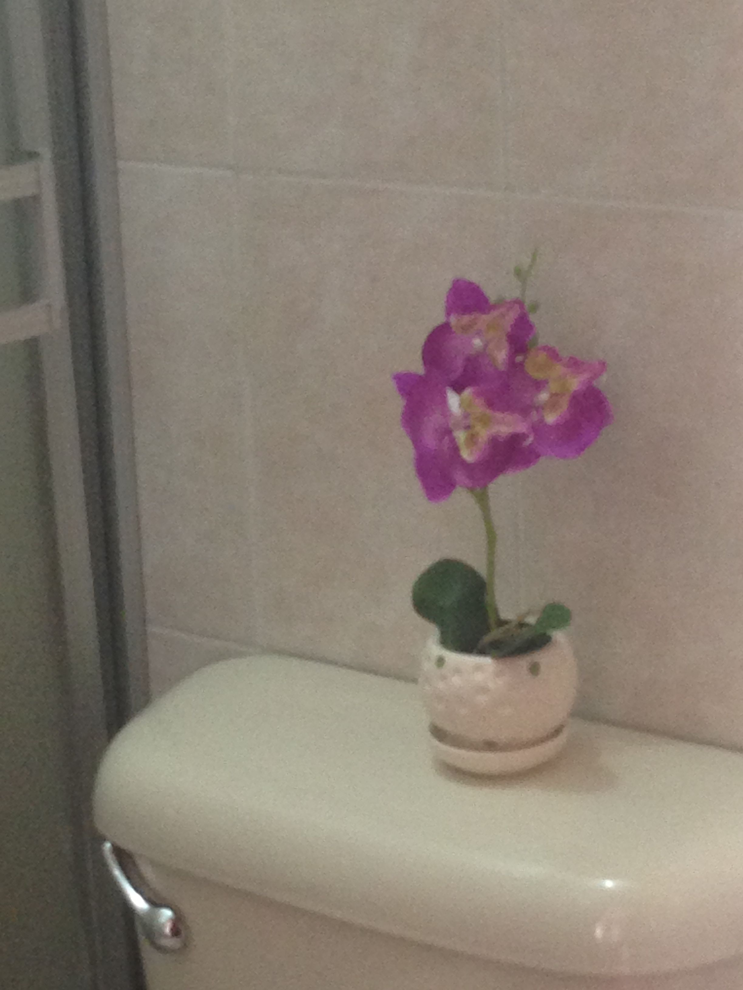 shower, deep-soaking bathtub, towels