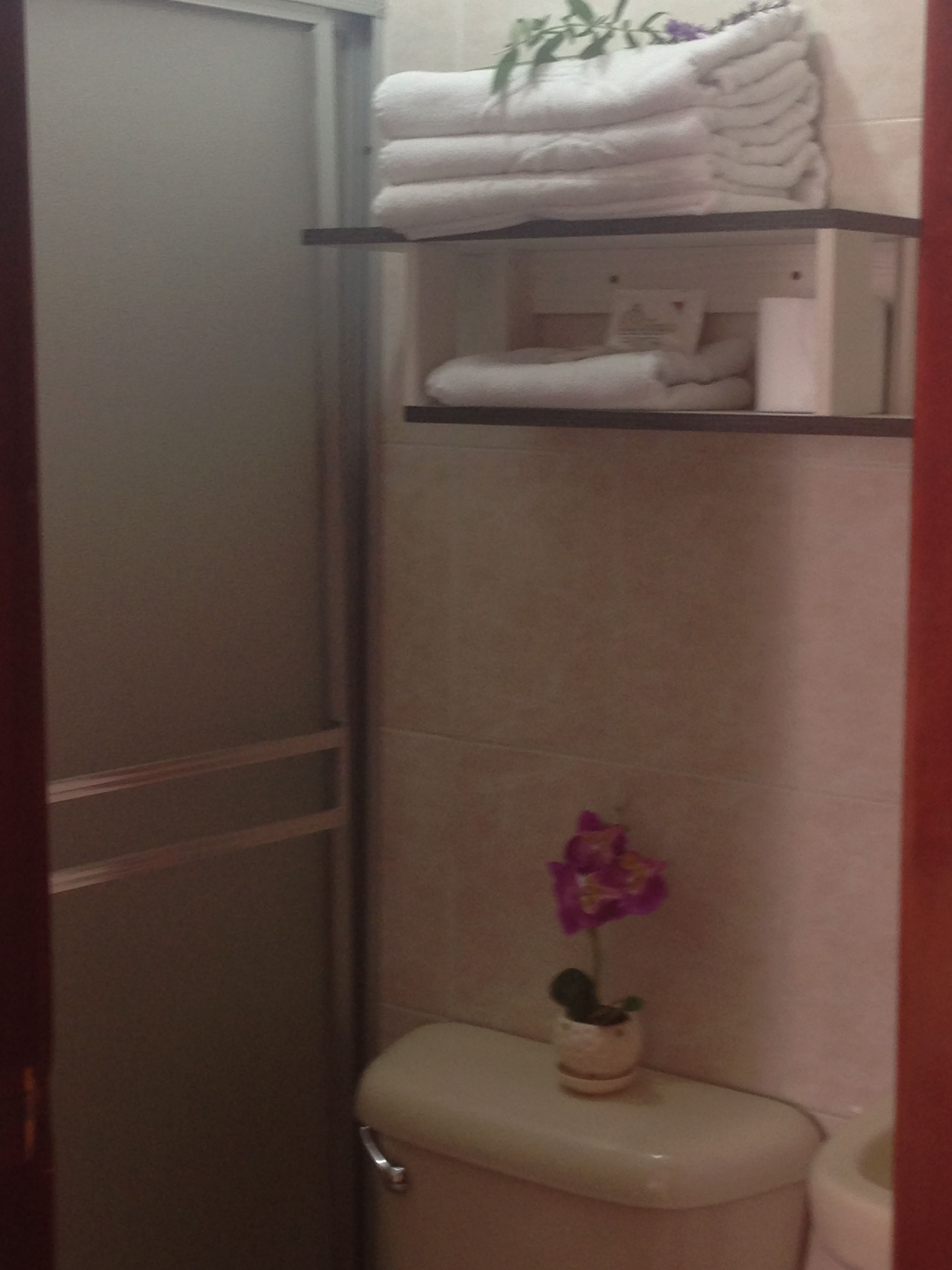 shower, deep-soaking bathtub, towels