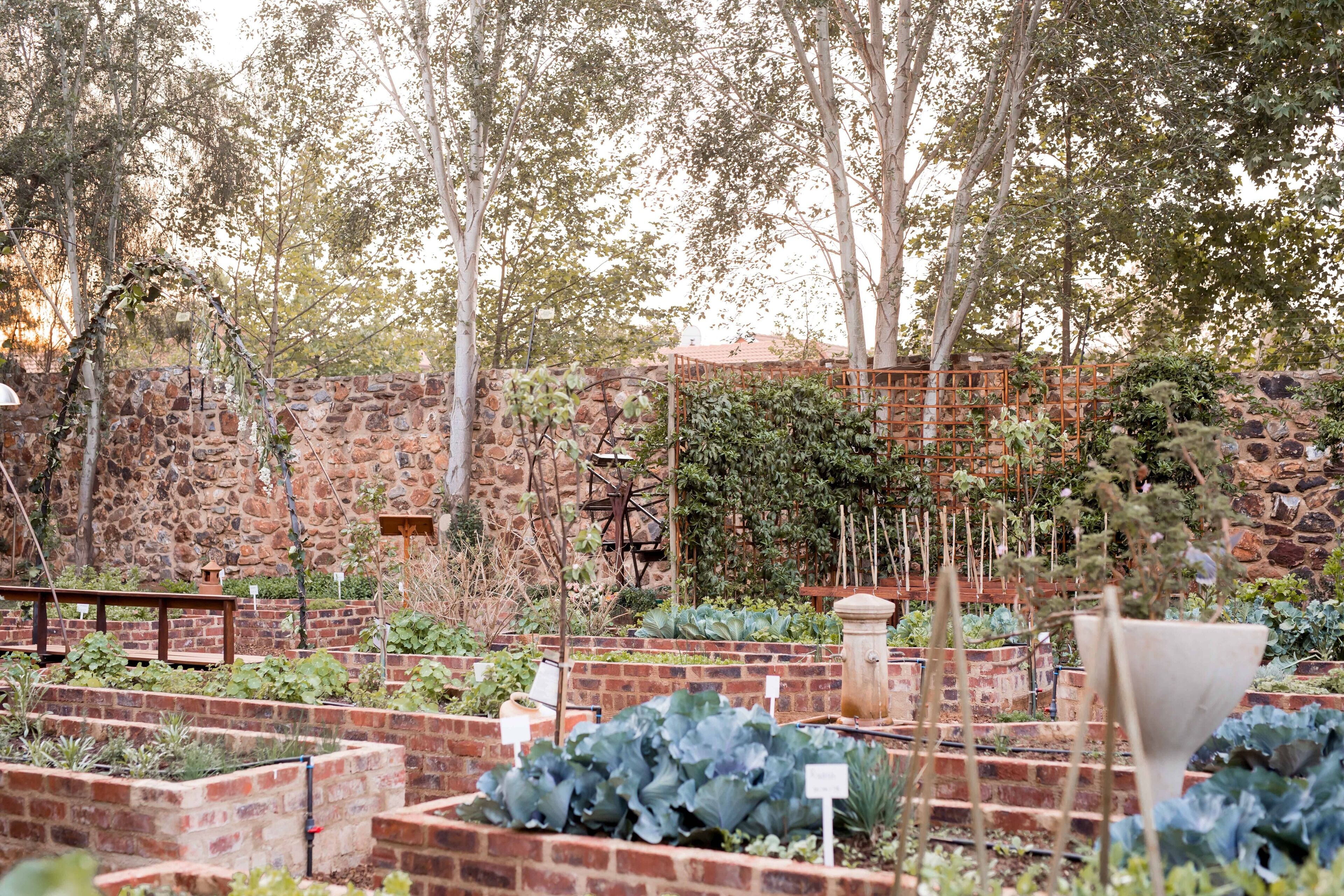 garden