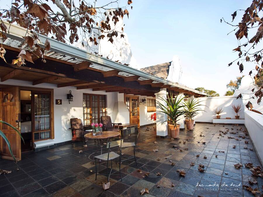 A courtyard with a wooden table and chairs, potted plants, and a tiled floor with scattered leaves.