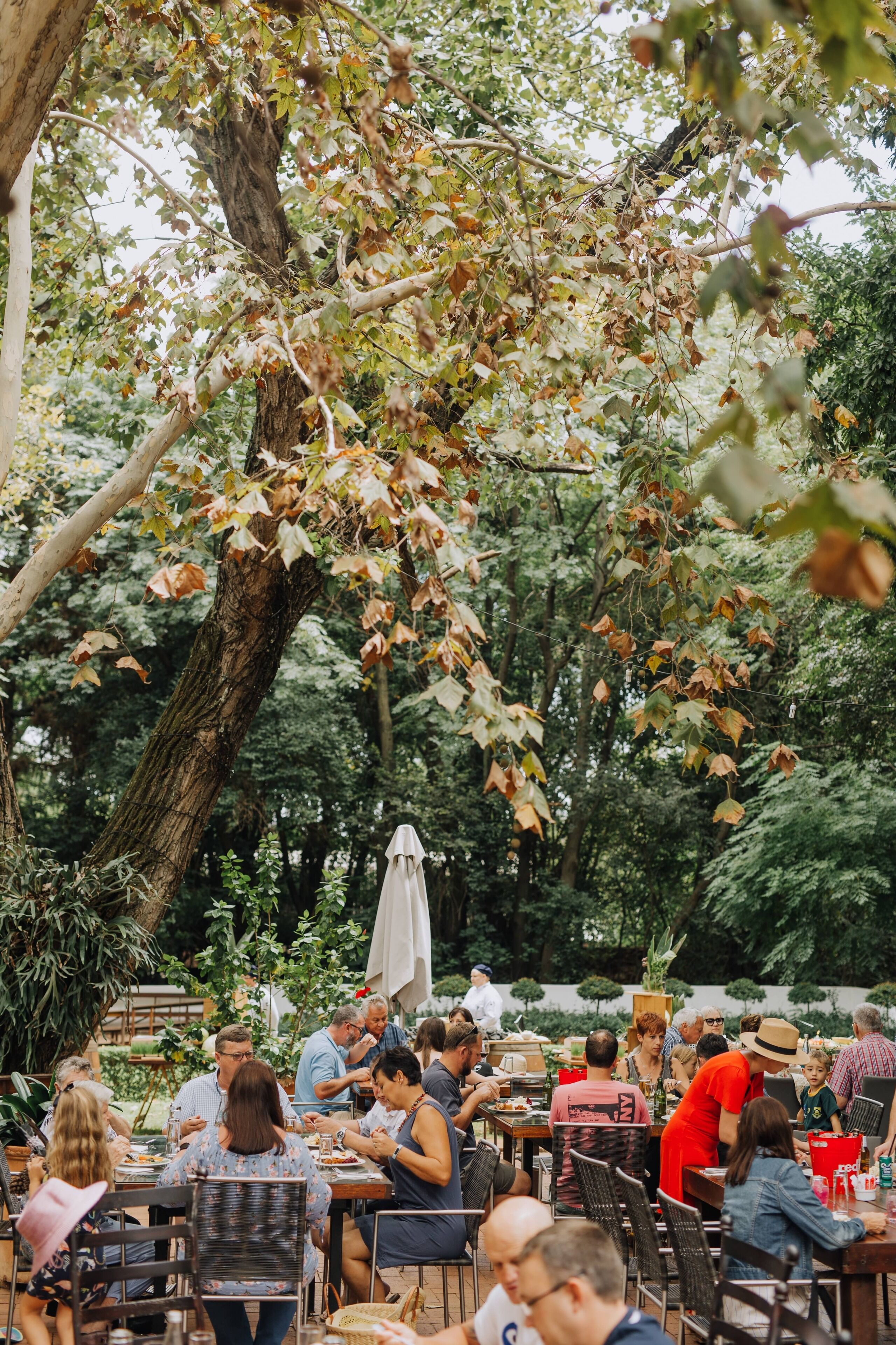 lunch, dinner served; international cuisine, garden views