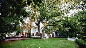 A white building with a large tree in front, a well-maintained lawn, and a patio area with chairs. - Kleinkaap Boutique Hotel (Centurion)