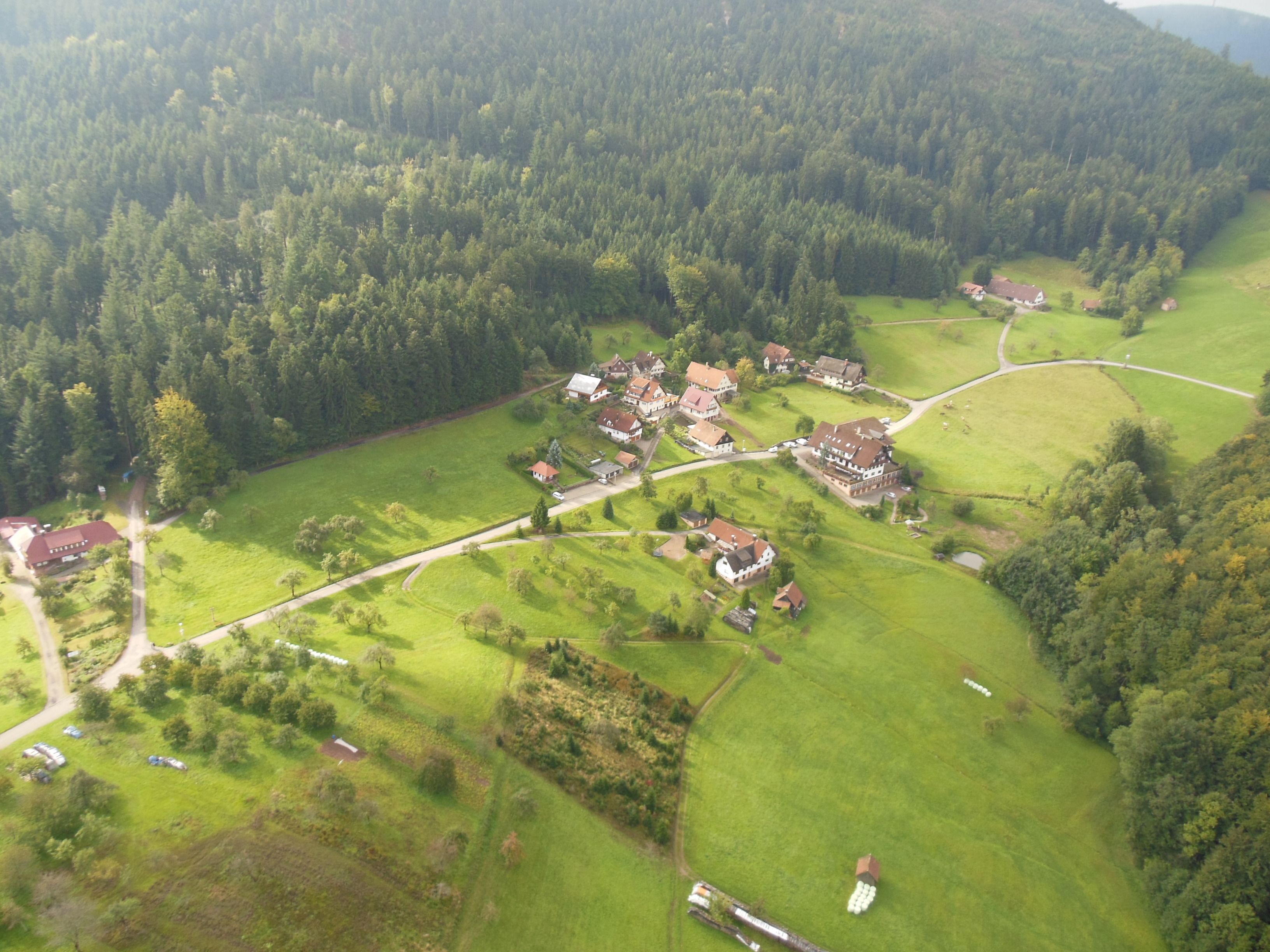 aerial view