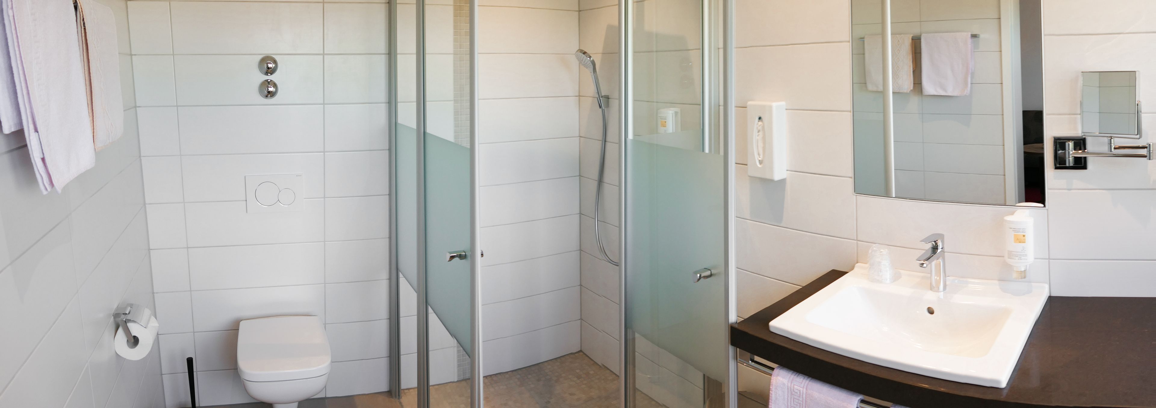 A modern bathroom with a glass-enclosed shower, a white toilet, a sink with a mirror, and a towel rack.