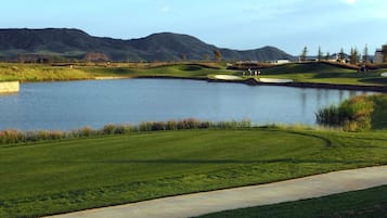 Junior Suite | View from room