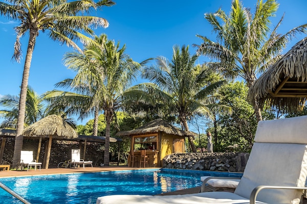 Outdoor pool, sun loungers