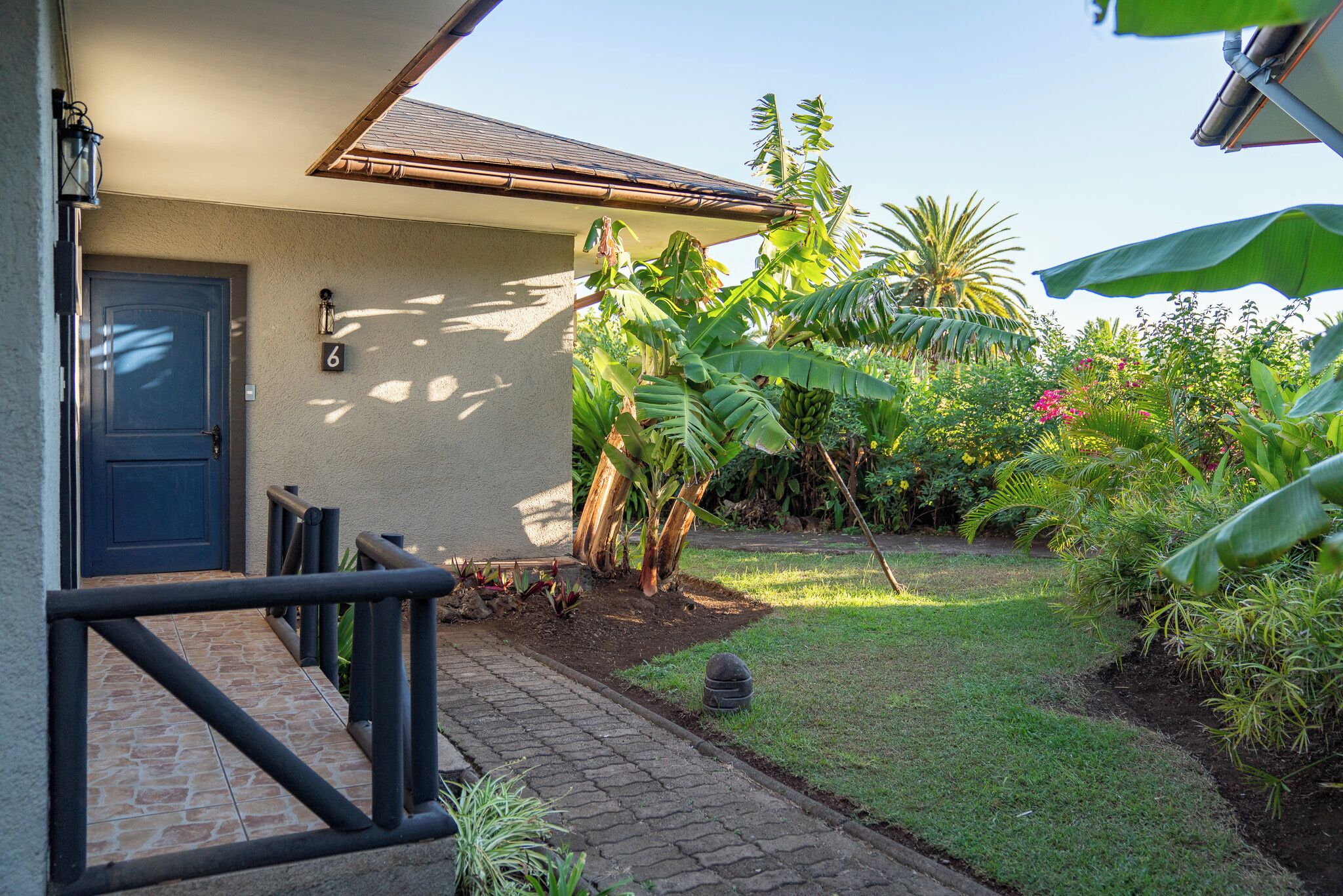 A house with a number 6 sign, a blue door, a brick pathway, and a garden with various plants.