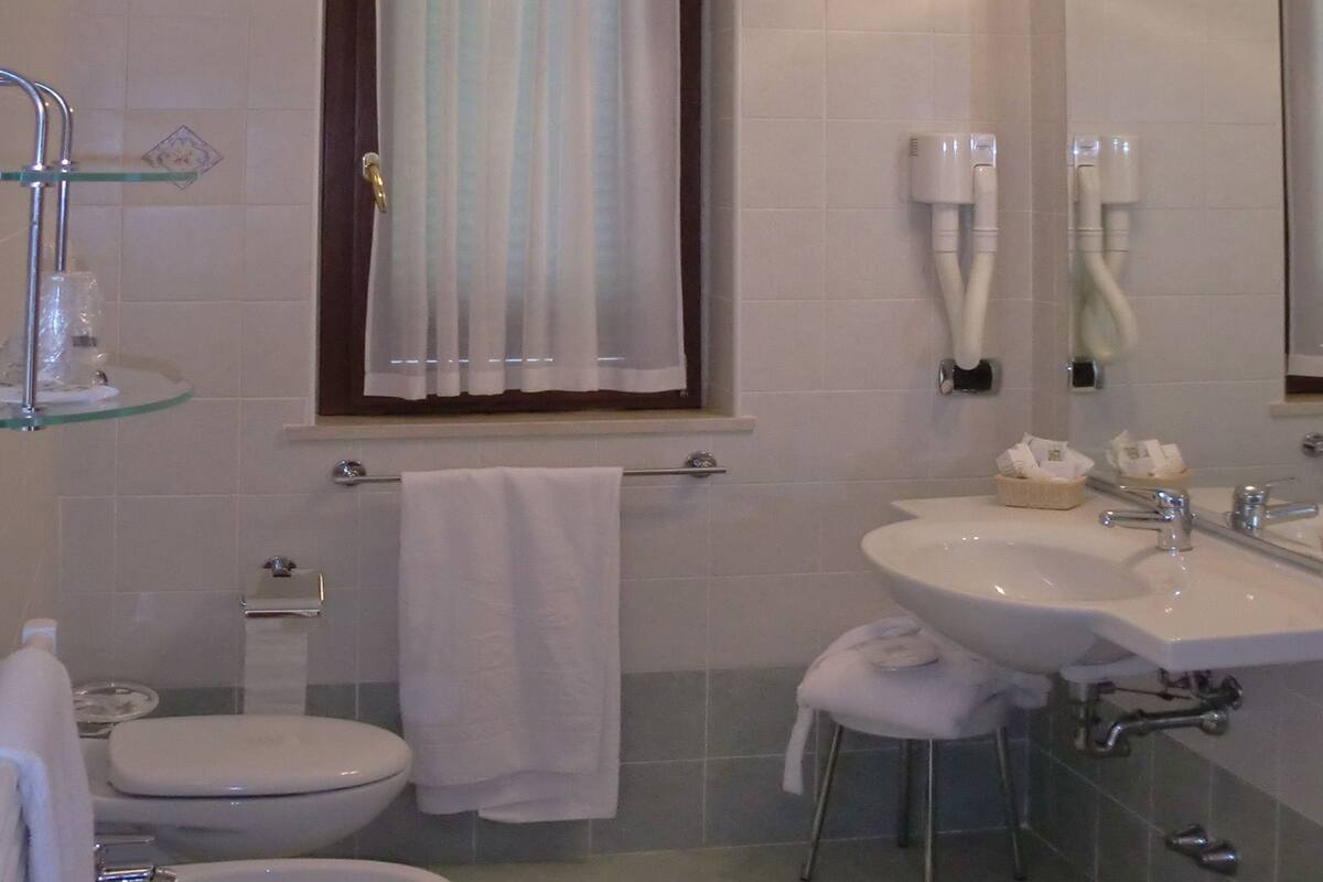 single room | bathroom | shower, hair dryer, bidet, towels