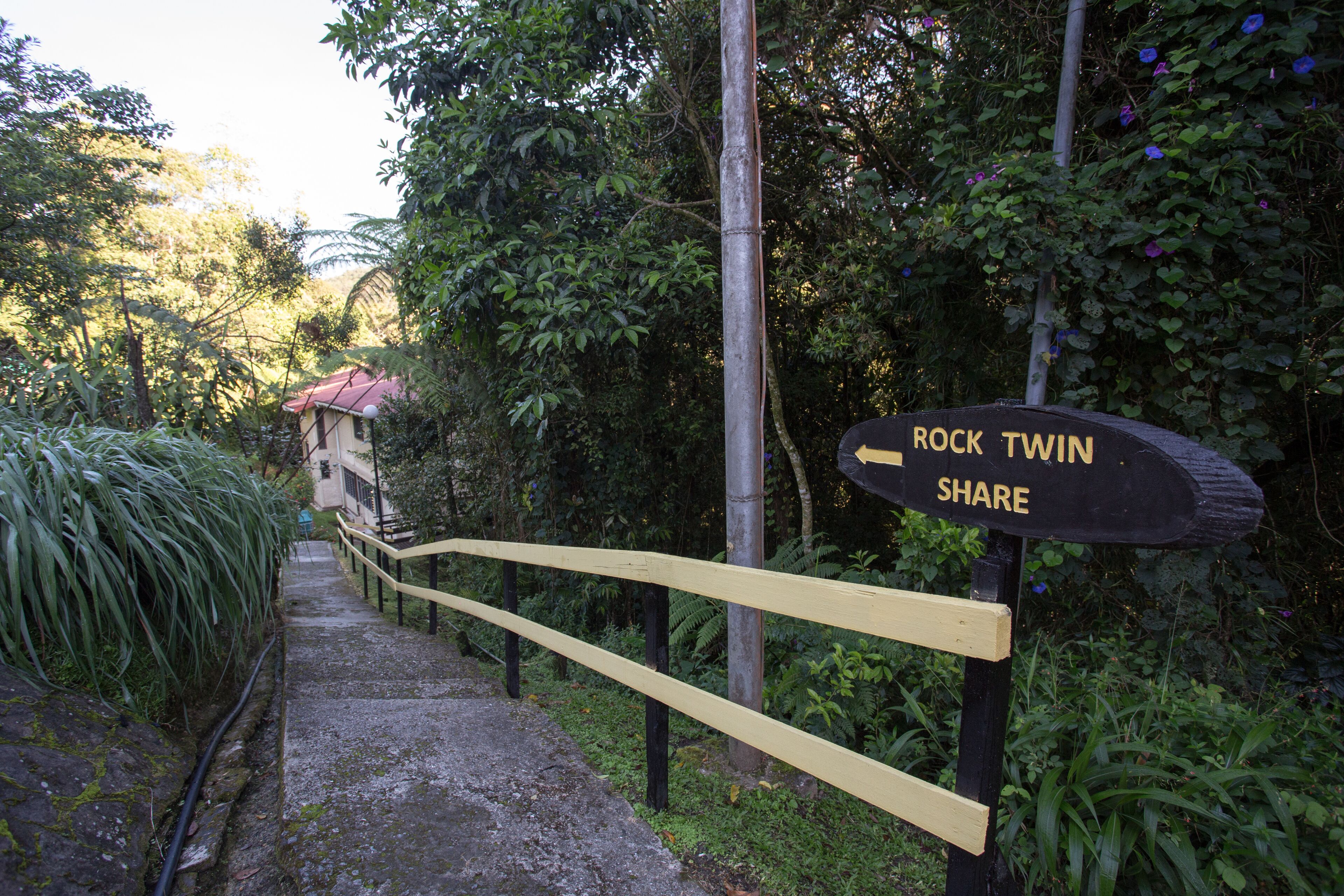 rock twin share (shared dormitory) | view from room