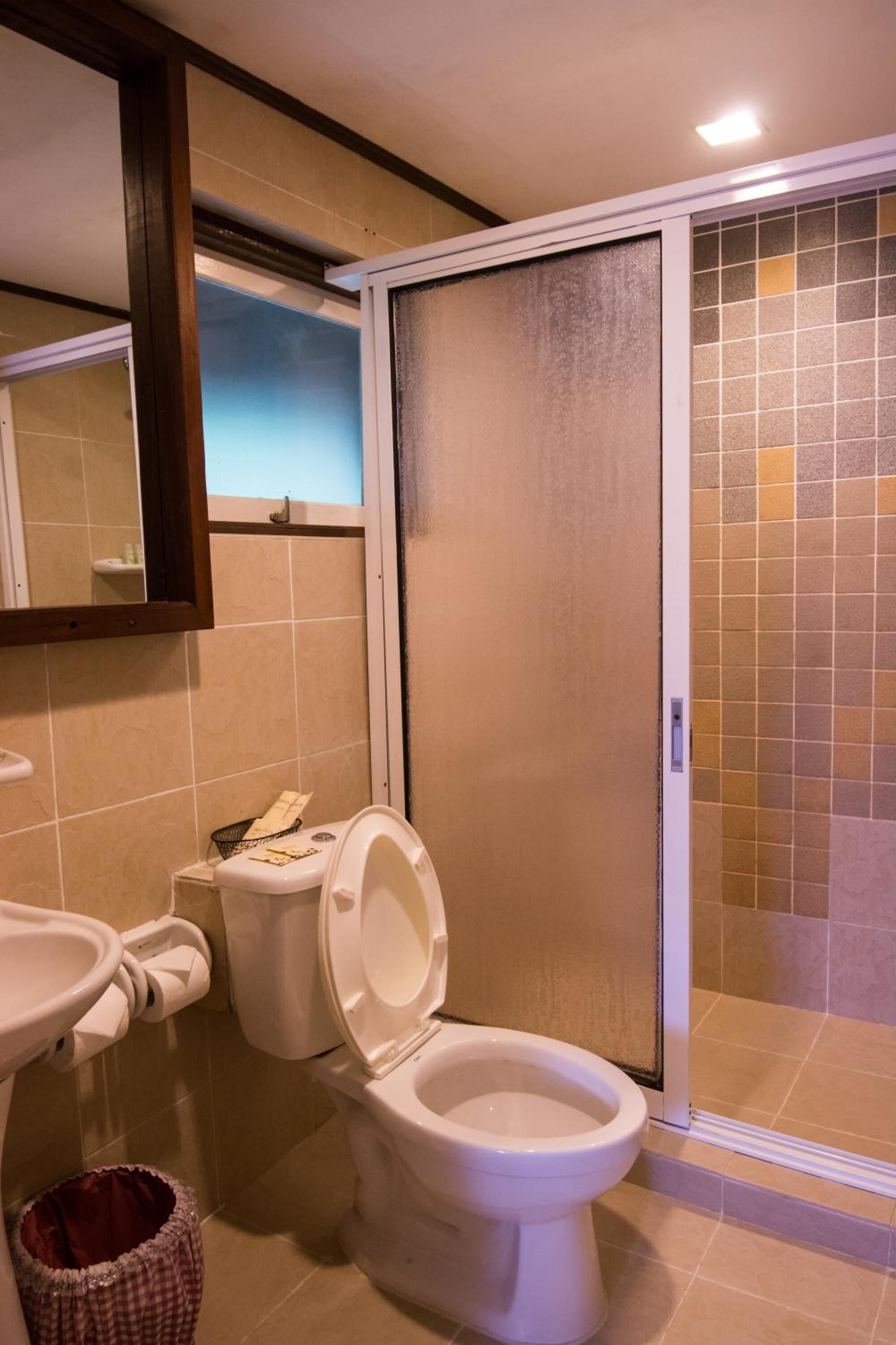 A bathroom with a toilet, bidet, and a shower area.