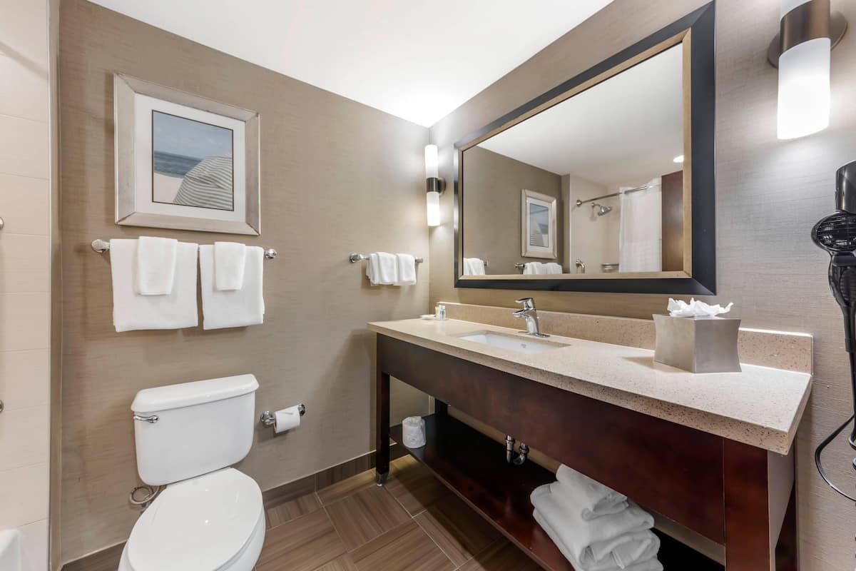 suite, 1 king bed, accessible, non smoking | premium bedding, pillow-top beds, in-room safe, desk