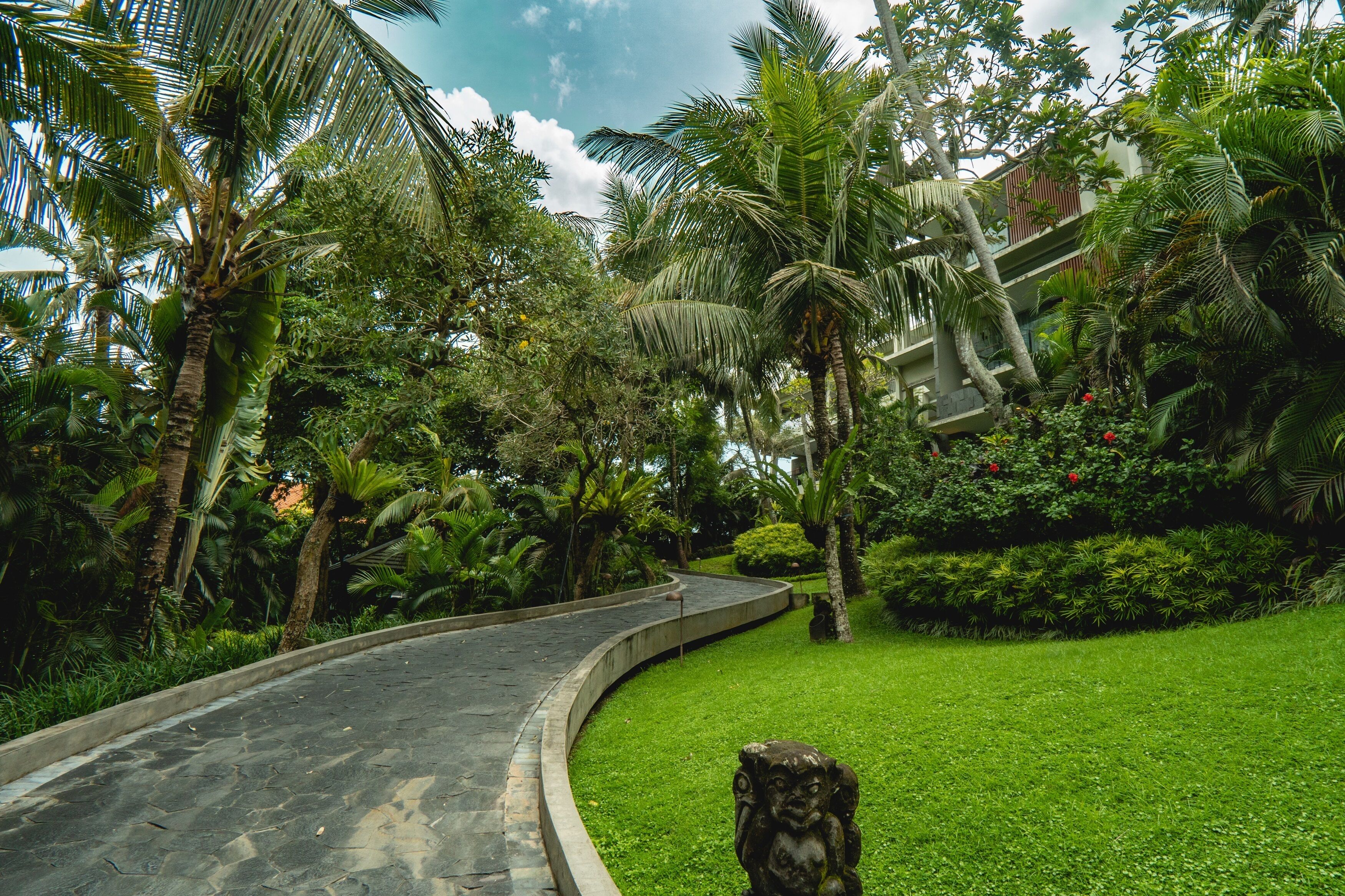 A curved pathway surrounded by lush greenery and palm trees.