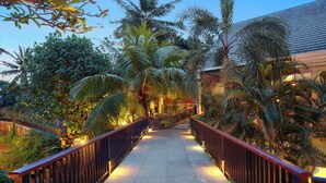 A pathway flanked by palm trees and a building with a modern design.