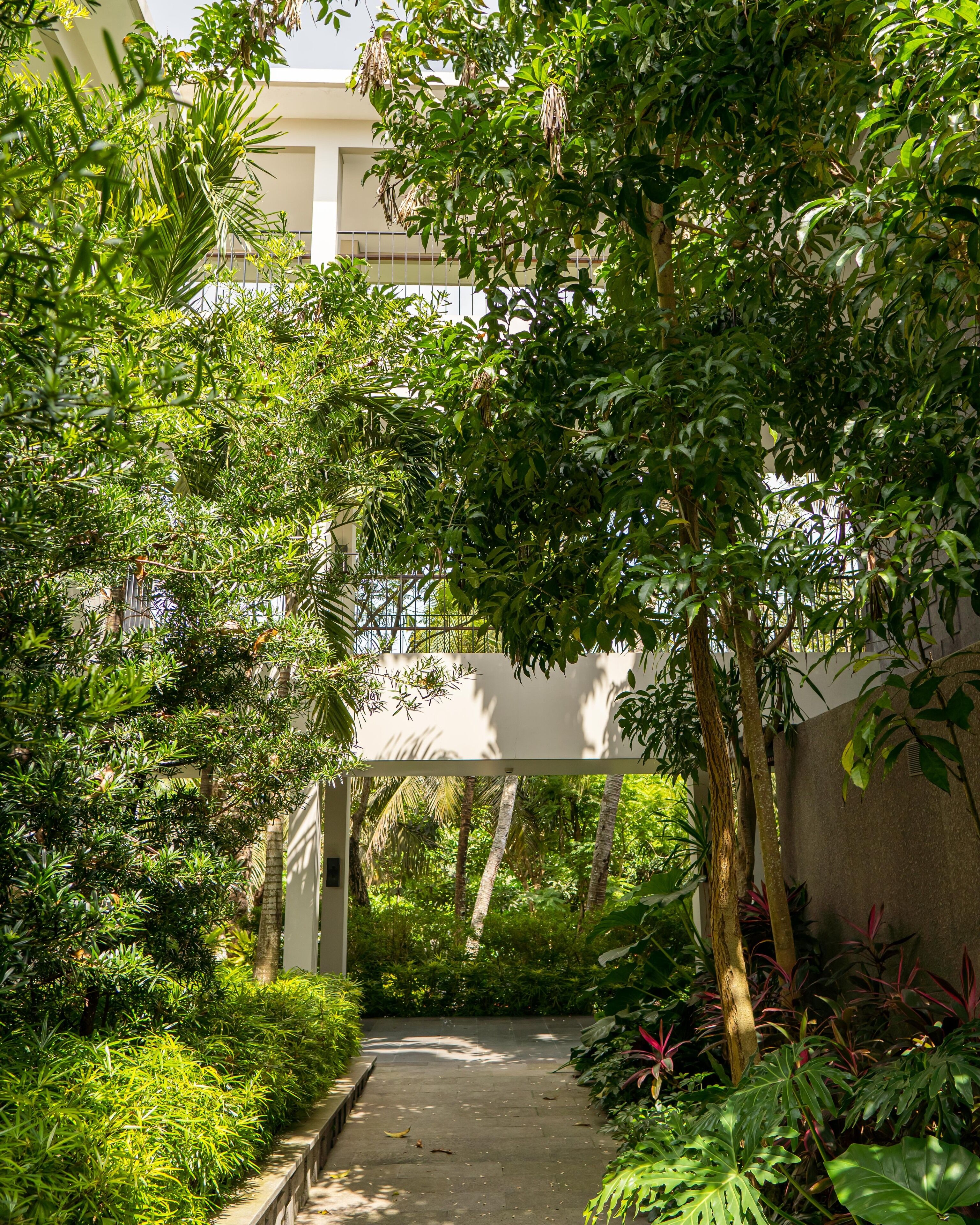 A pathway surrounded by lush greenery and a building in the background.